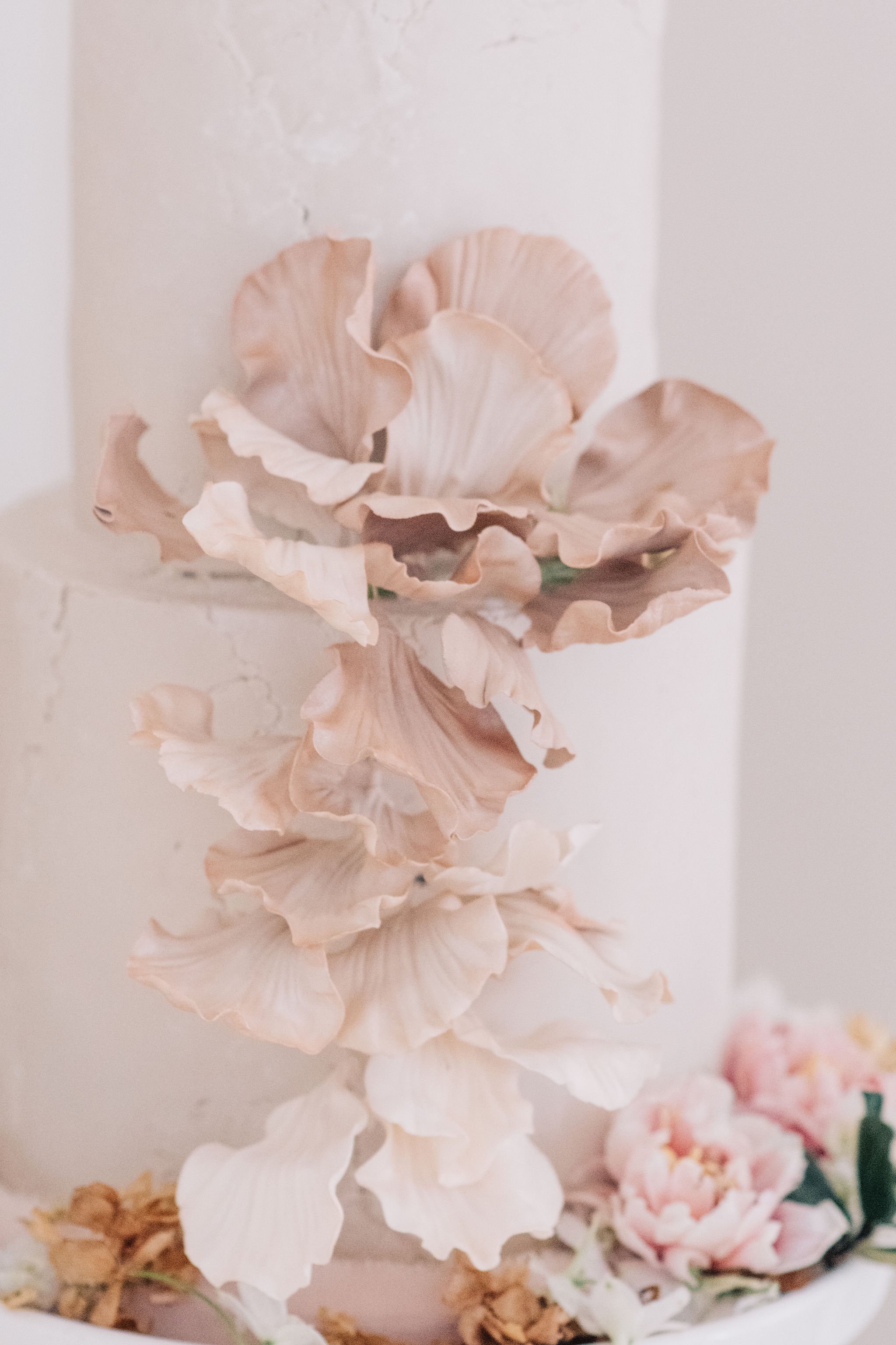 Spring-inspired fine art wedding cake for intimate wedding day photographed by Toronto wedding photographers, Ugo Photography