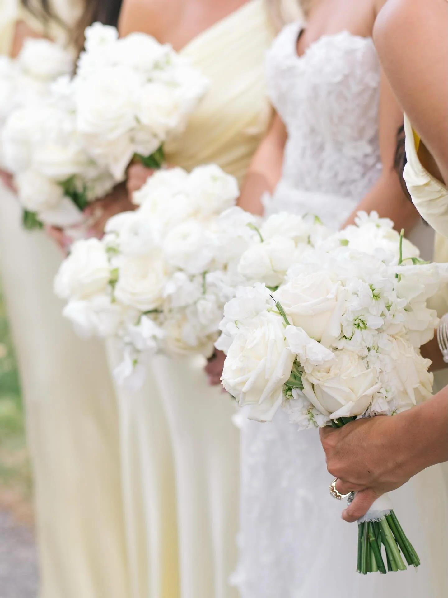 Surrounded by sunshine💛 Our beautiful bride, Chantal and her bridesmaids were the definition of radiant!! 

Butter yellow has been the colour of summer and we LOVE how Chantal incorporated it through her wedding design.

We have so much more to shar