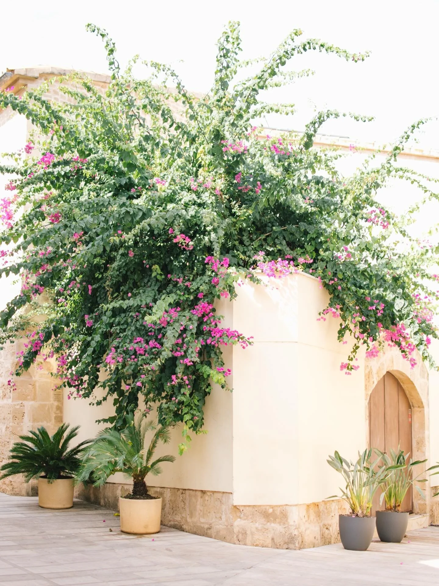 Una postal digital de Mallorca 💌

#weddingphotographers #destinationweddingphotographers #ontarioweddingphotographer #spainwedding #mallorcawedding 

Destination wedding
Destination wedding photographers
Destination wedding Spain 
Mallorca weddings