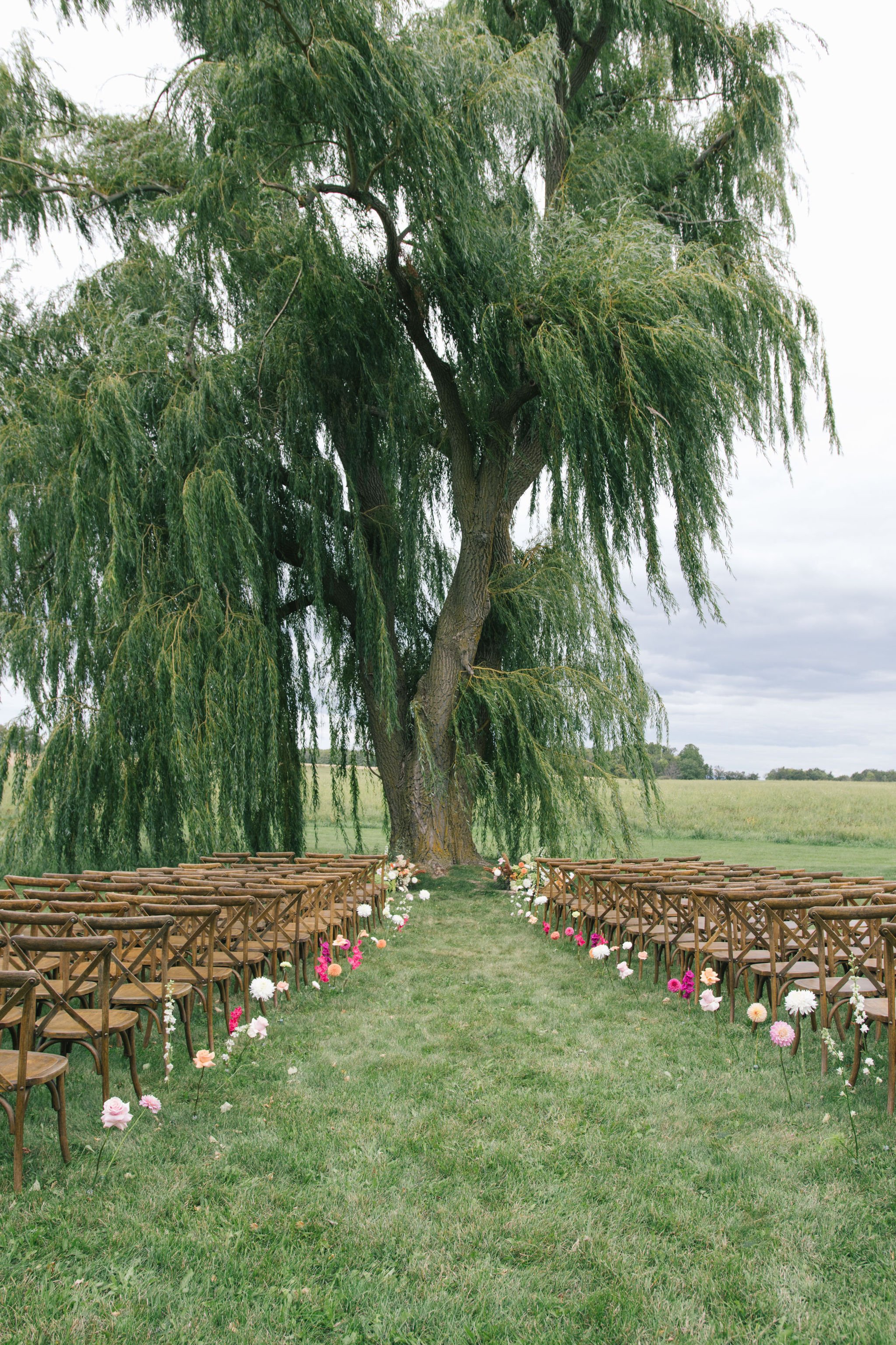 outdoor-wedding-ceremony-willow-tree-collingwood-ontario