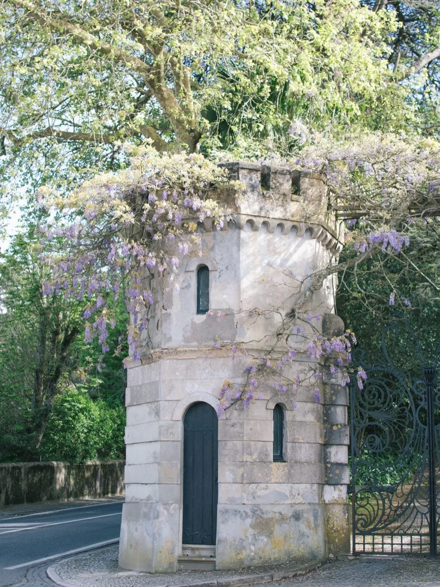 There is no where quite like Portugal in the spring! As jacaranda trees bloom, patios reopen for long alfresco celebrations and the Algarve begins to come alive again, the atmosphere feels warm, inviting, relaxed and made for gathering with the peopl