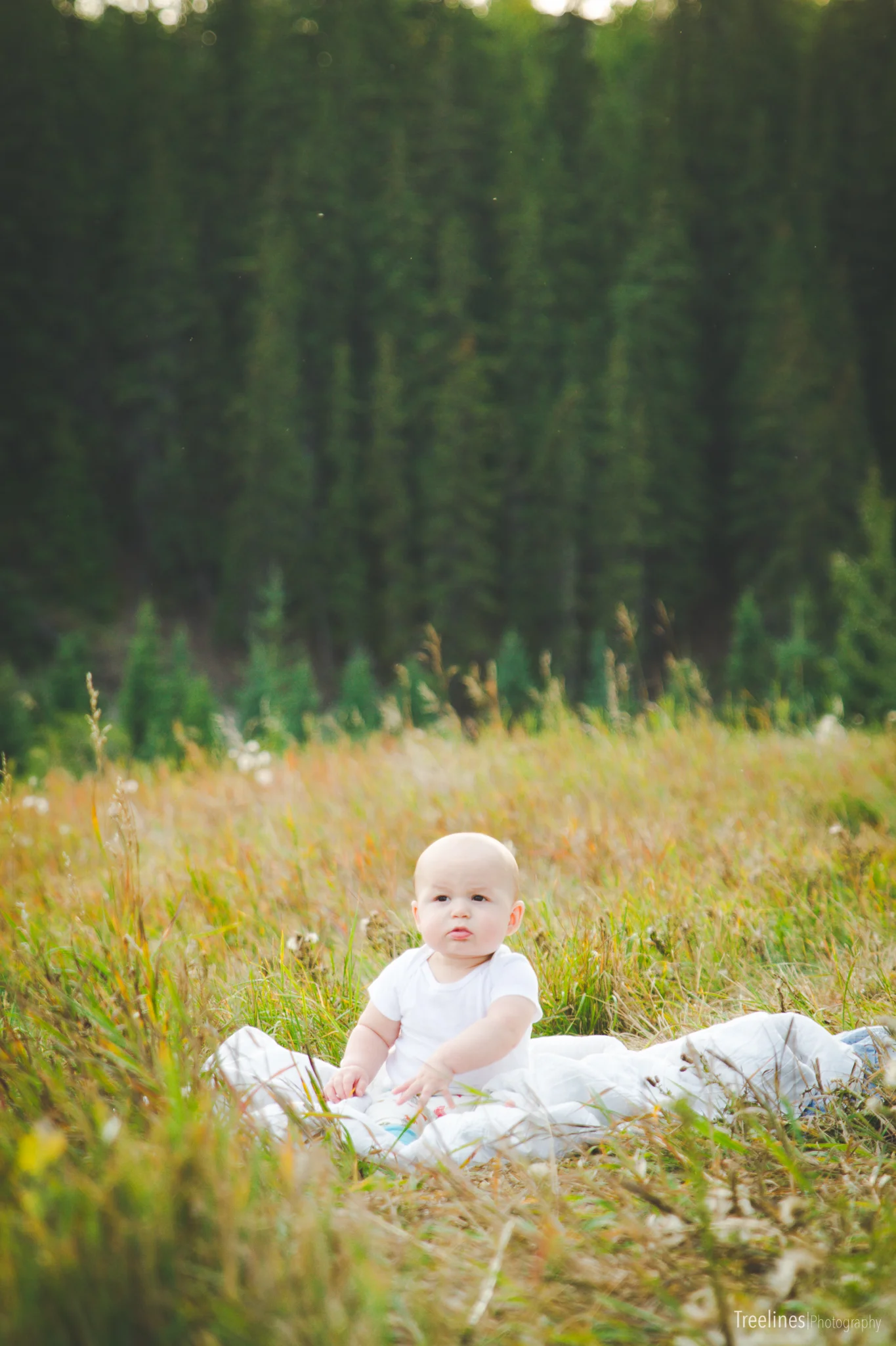 EandTBlog-Sept92015-9.jpg