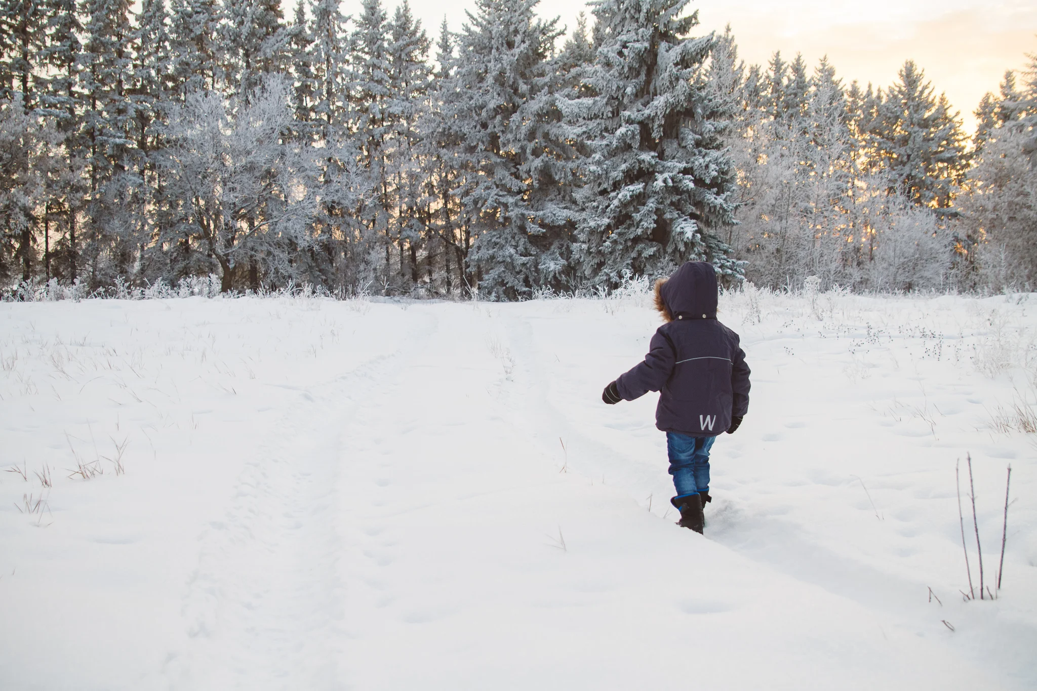 EandTJan2016Snow-blog-web-3.jpg