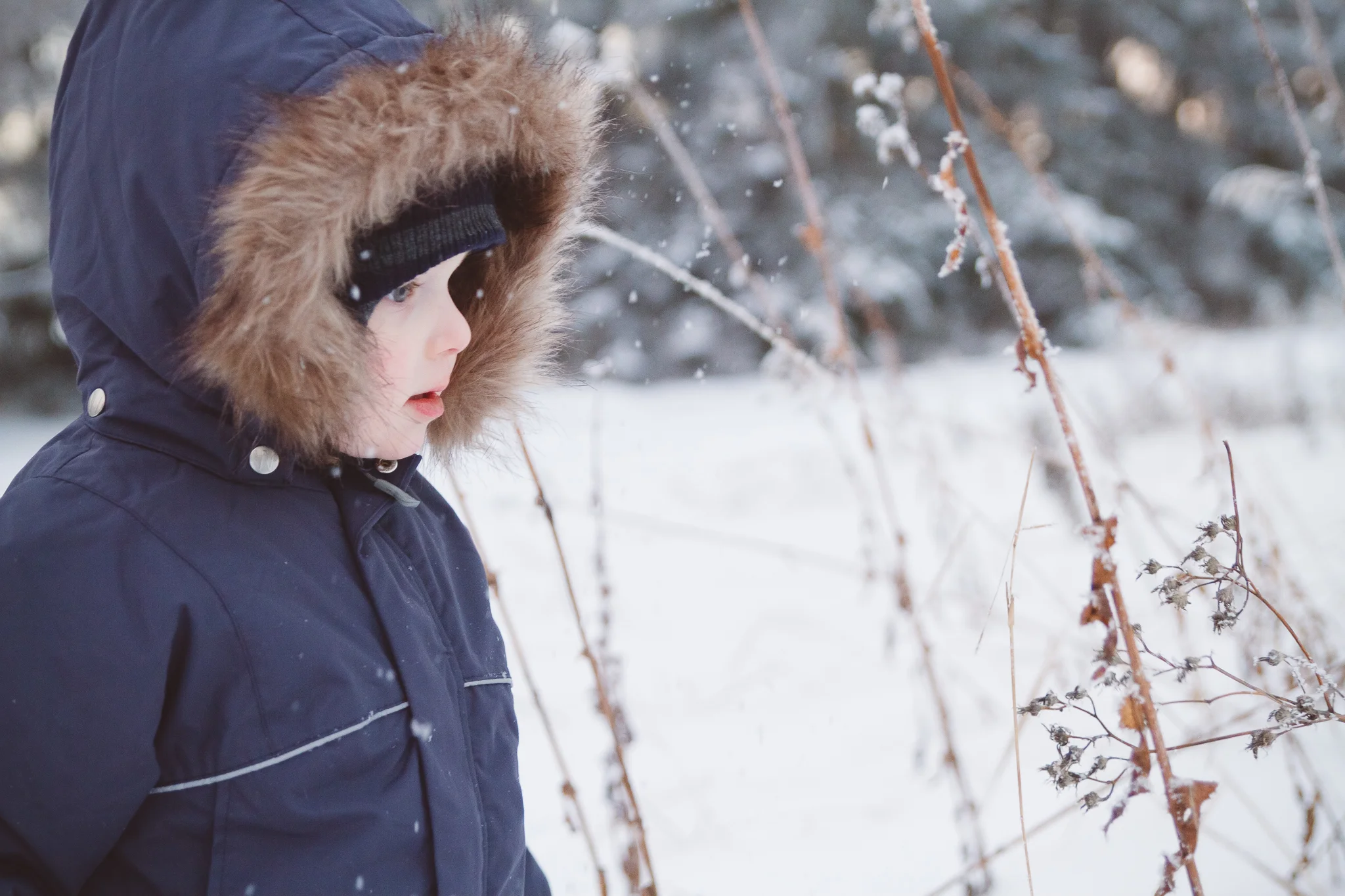 EandTJan2016Snow-blog-web-9.jpg