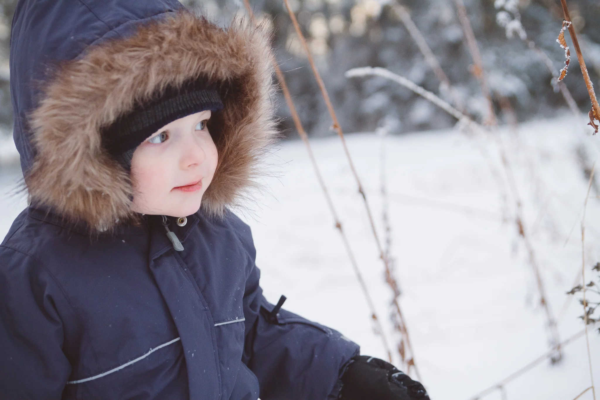 EandTJan2016Snow-blog-web-10.jpg