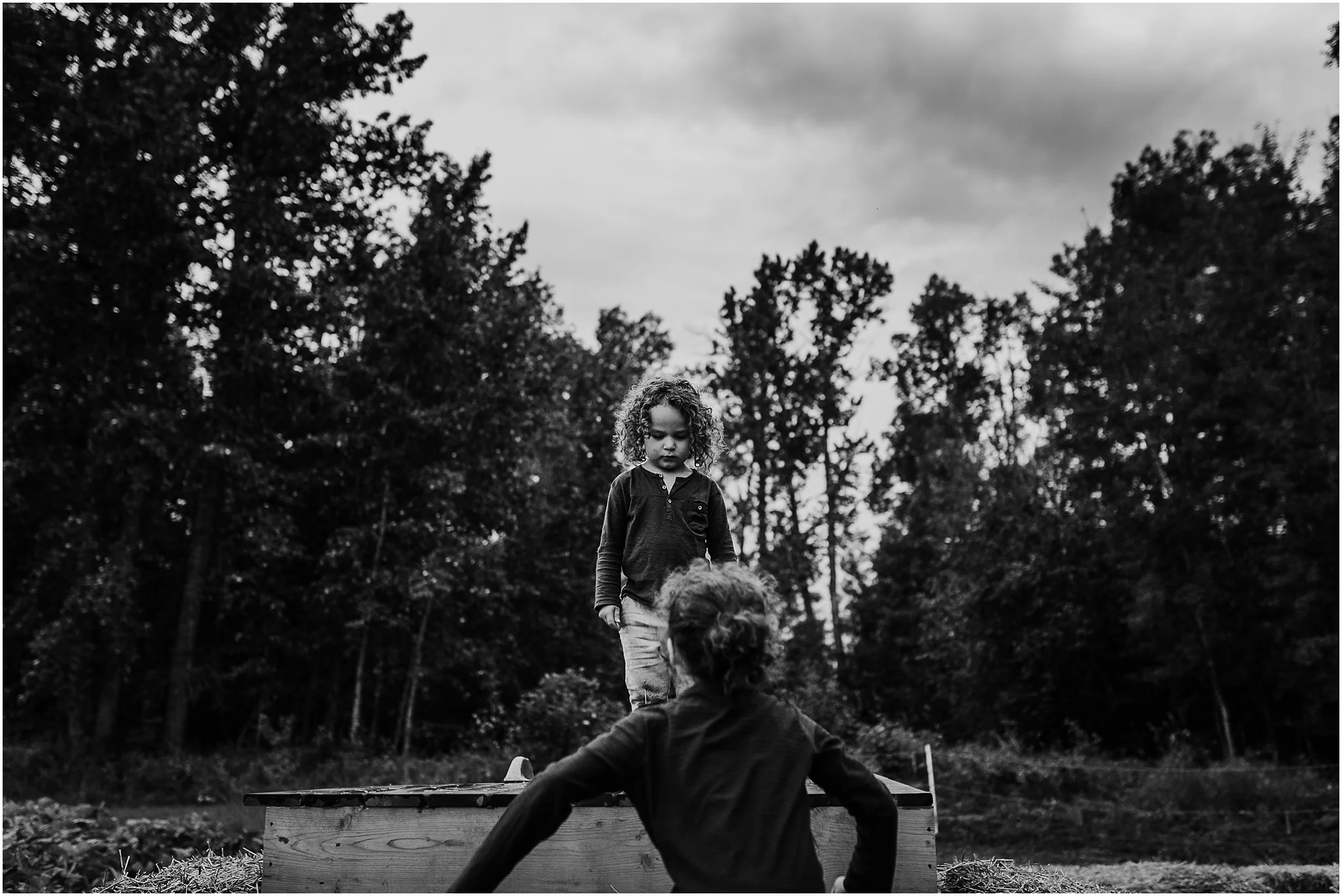 Edmonton Photographer - Edmonton Pumpkin Patch - Somerset Farms - Edmonton Documentary Photographer