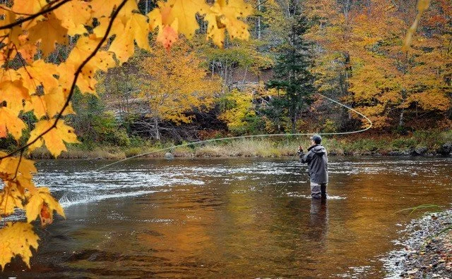 Fly-Fishing-in-Fall.jpeg