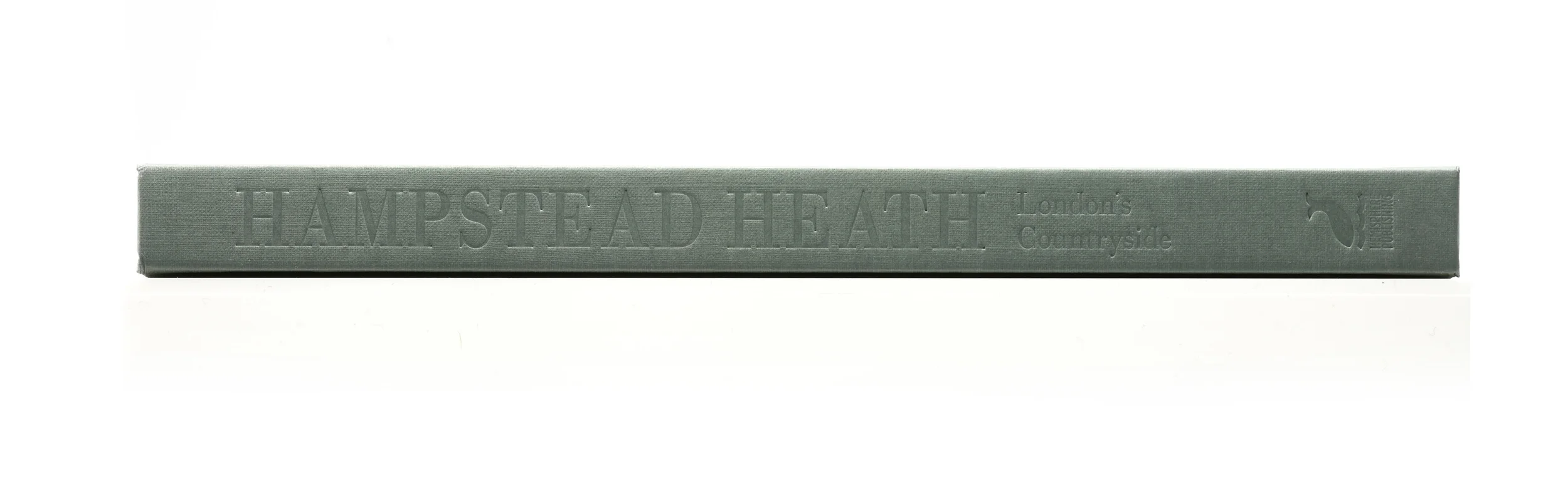 Spine detail