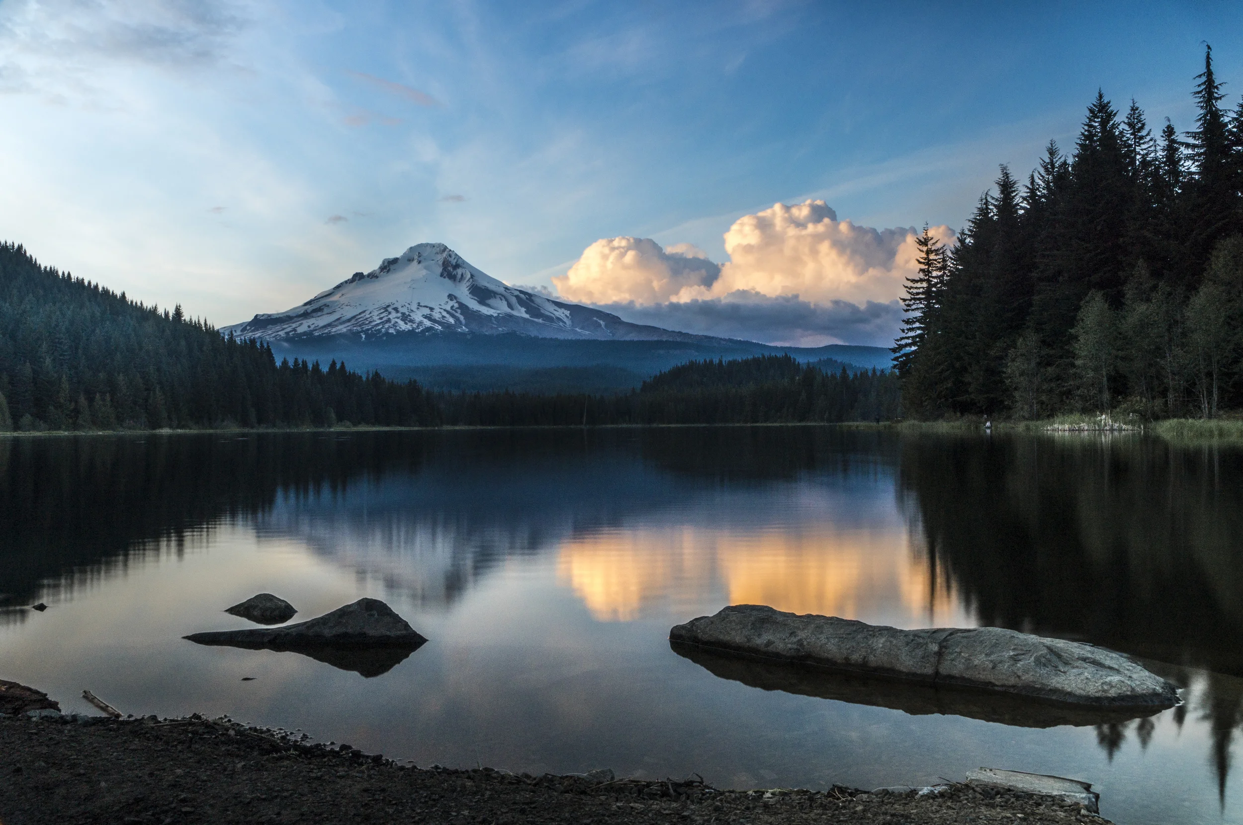 Trillium.jpg