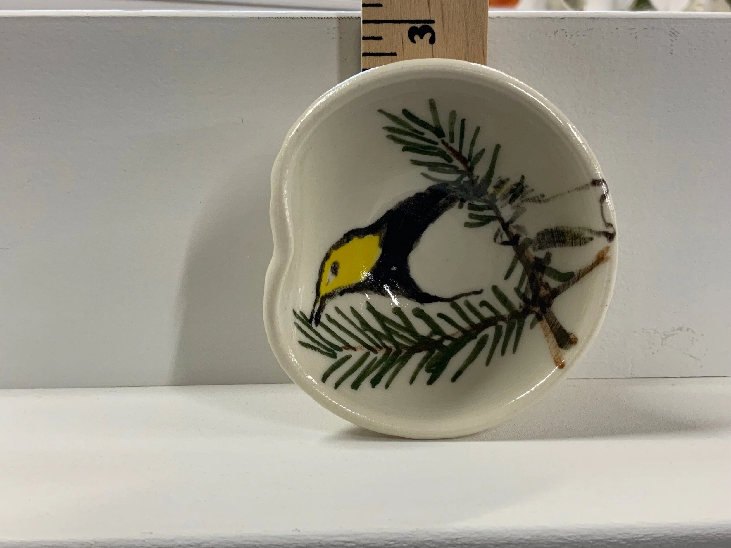 875A4986-8127-44D1-8039-4BC11B423C4B