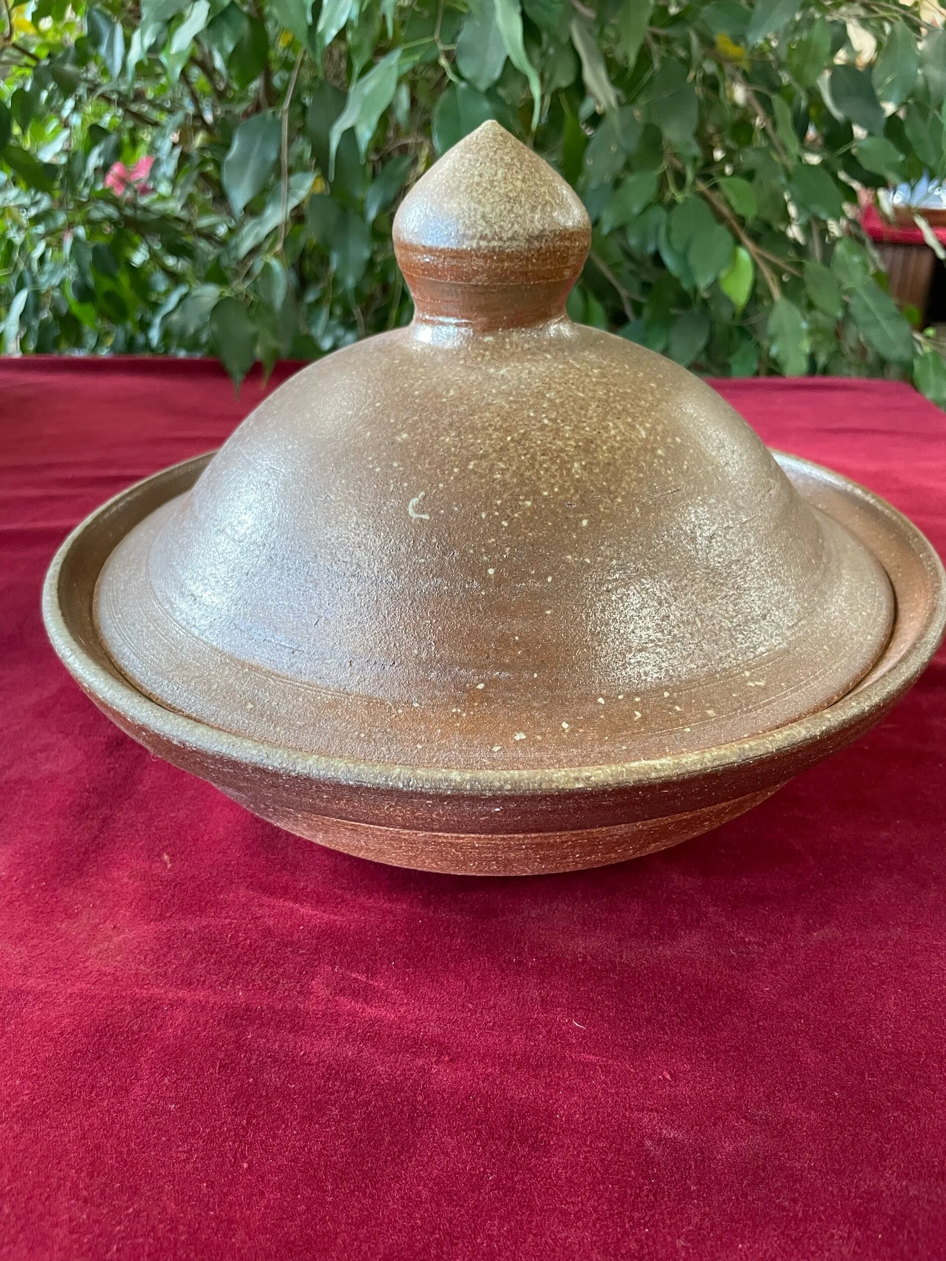 A0D99660-BF21-41FD-AFE8-1E5D6BF4FB58