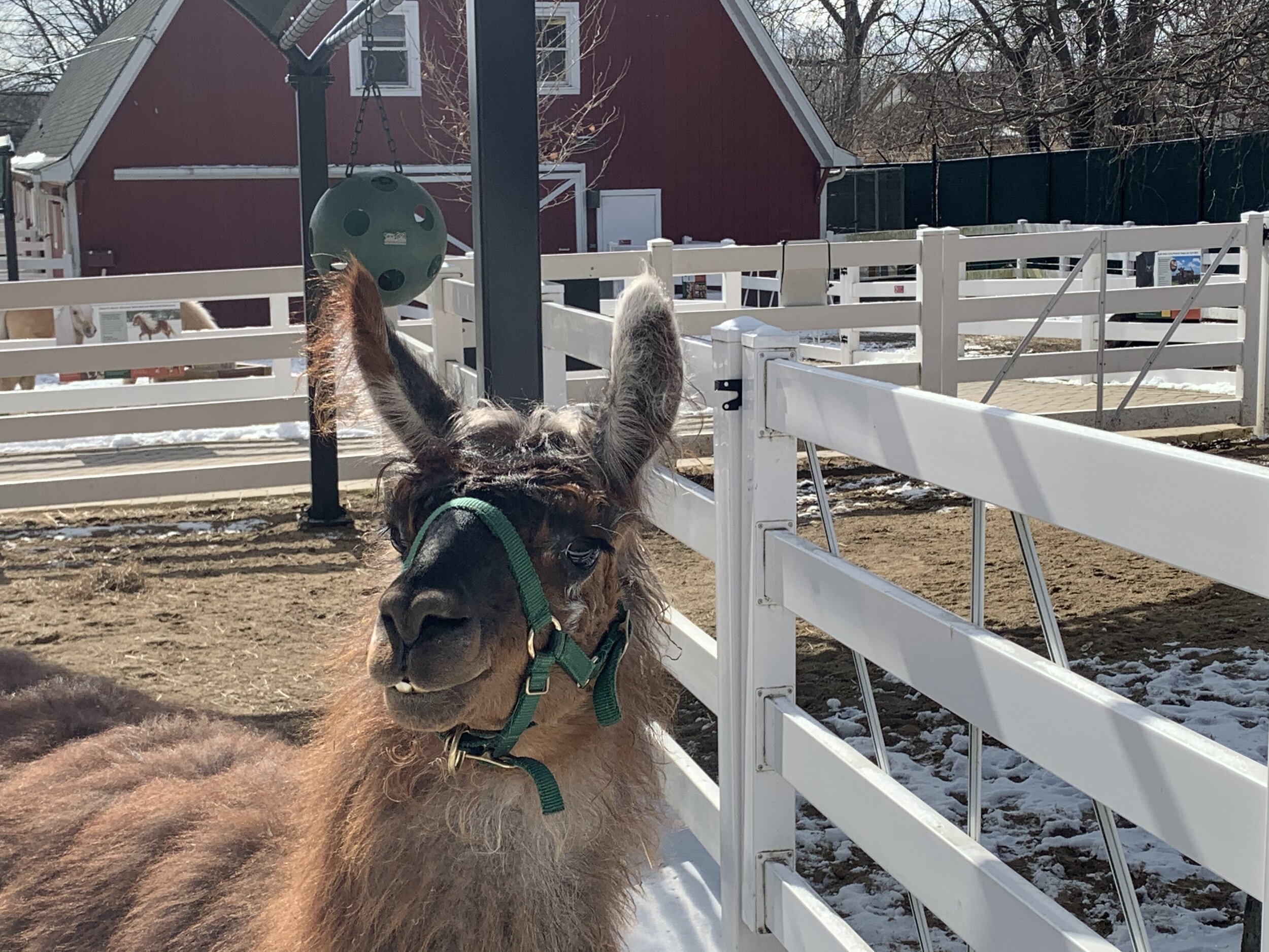 Week of March 2nd, 2020