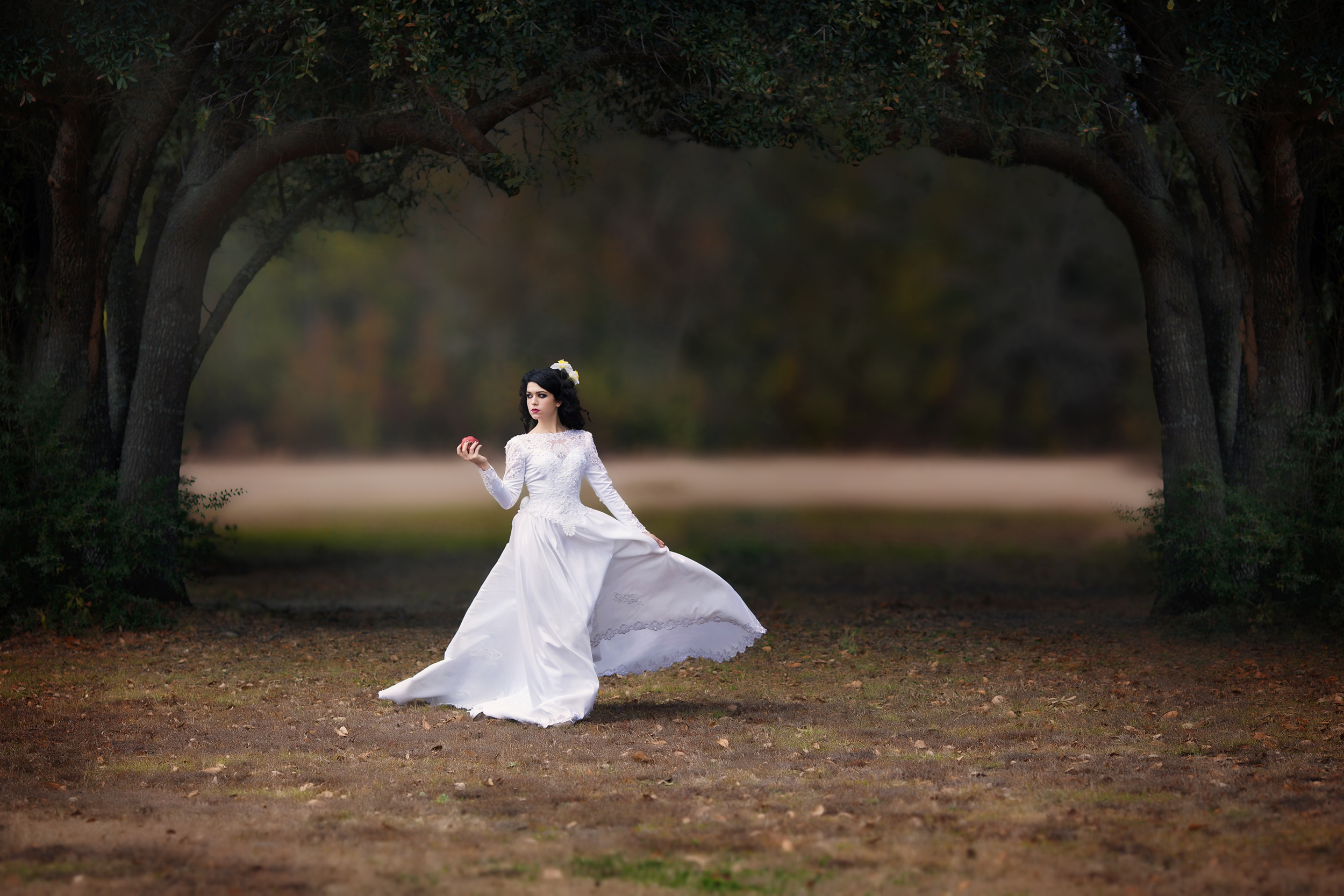 p_persephone_wideview_b2_website2500.jpg
