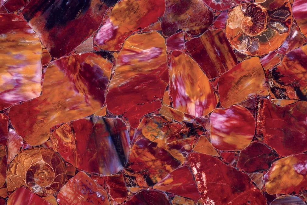 Multicolor Petrified
