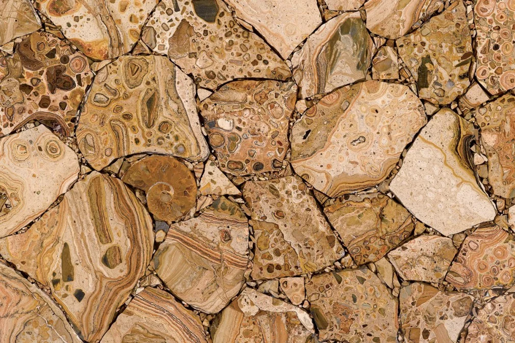 Picture Jasper