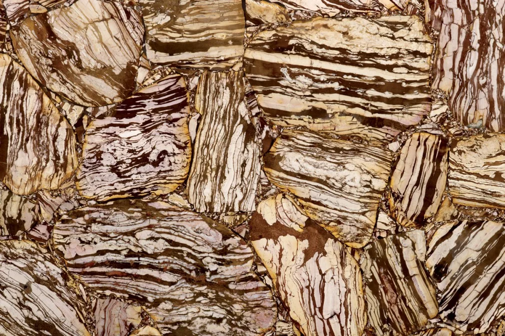 Zebra Jasper