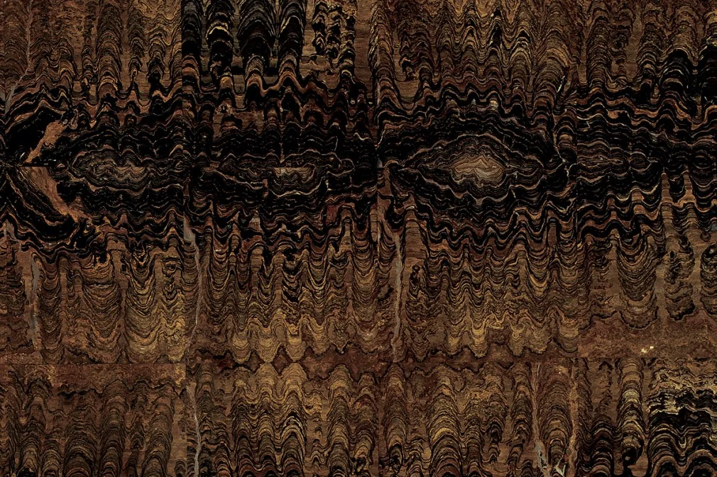 Stromatolite Bookmatch Gemstone