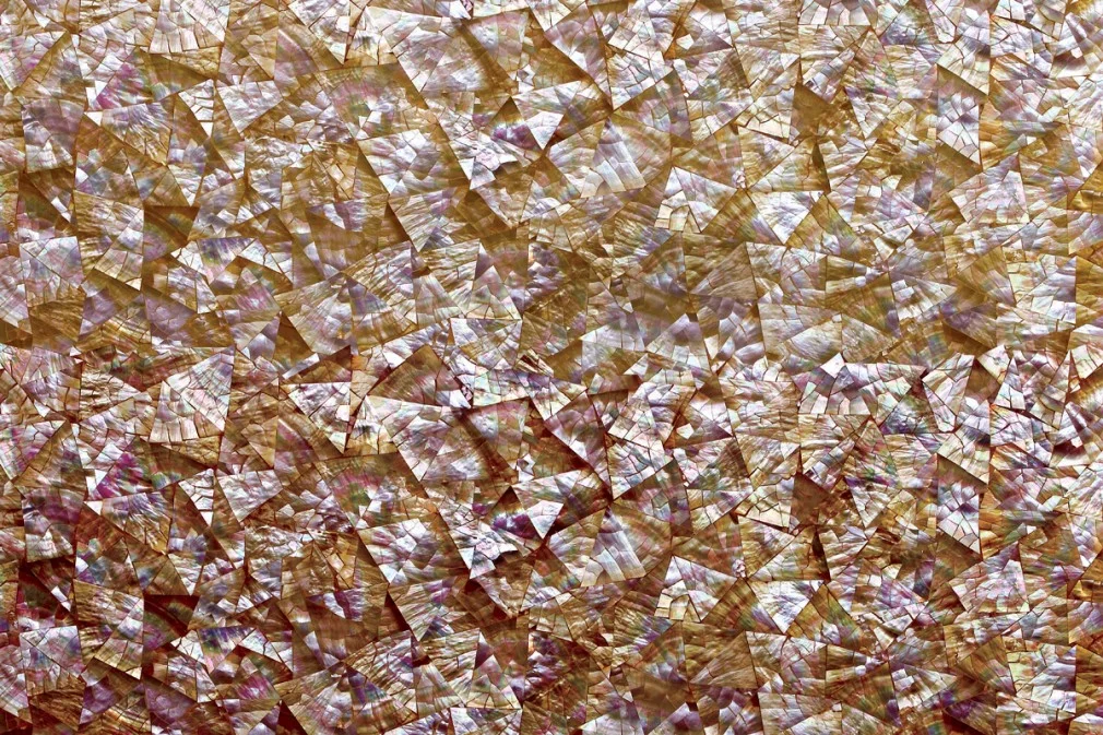 Caramel Abalone 3D Shellstone