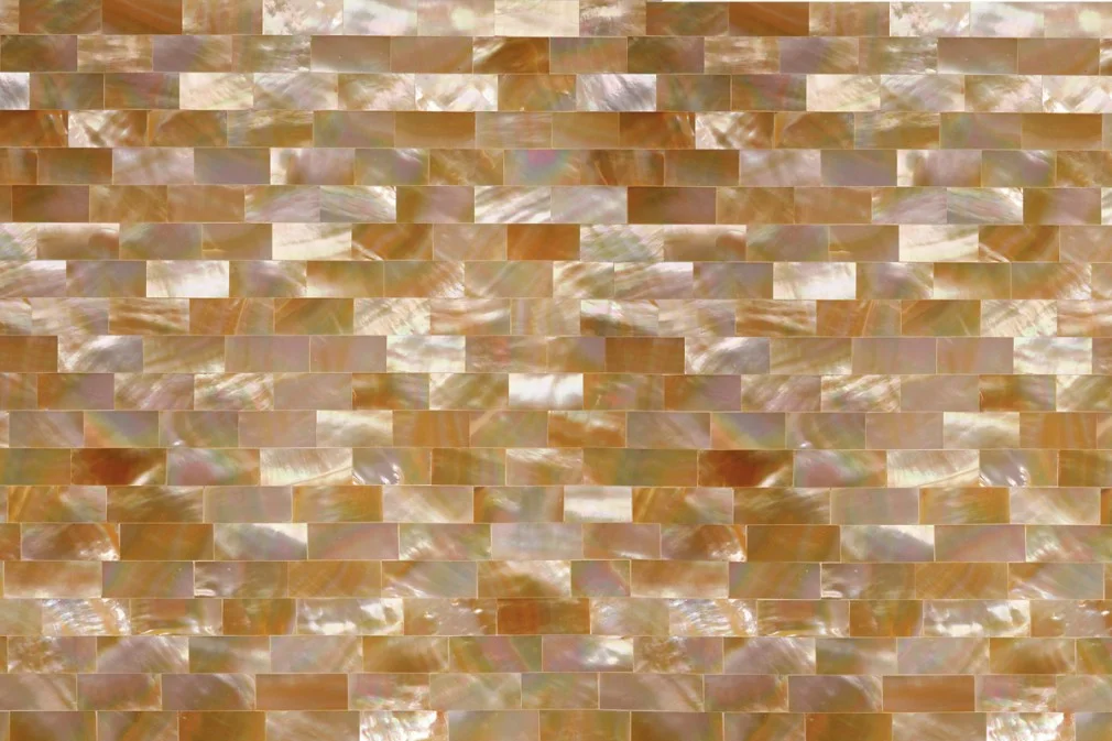 Golden Mother Of Pearl Shellstone L