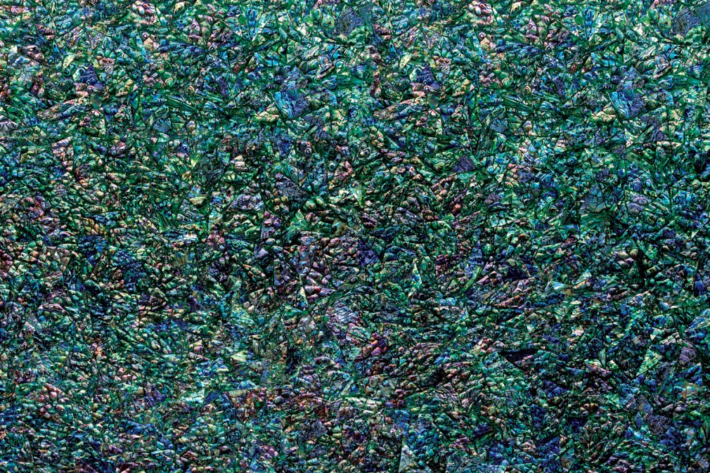 Green Abalone 3D Shellstone