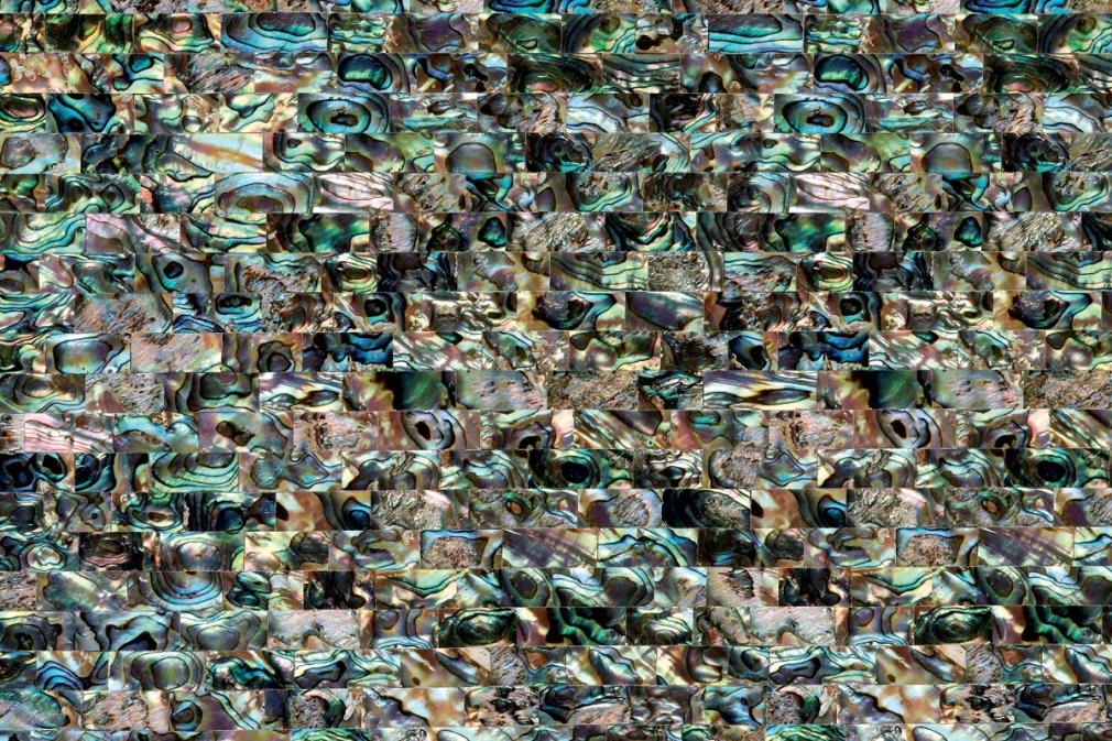 Green Abalone Shellstone L