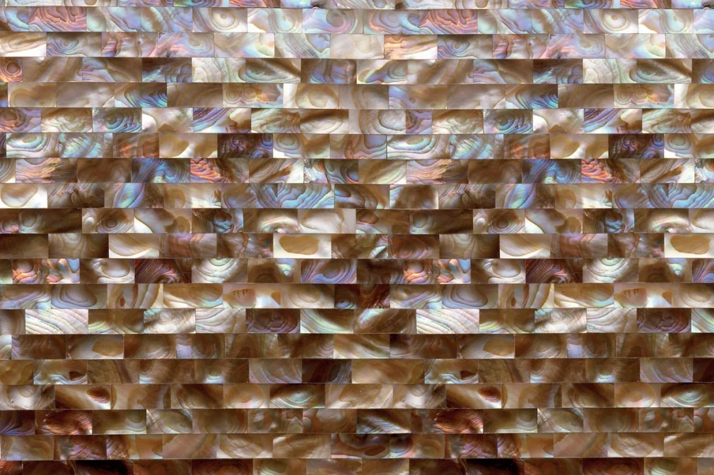 Rainbow Opale Shellstone L