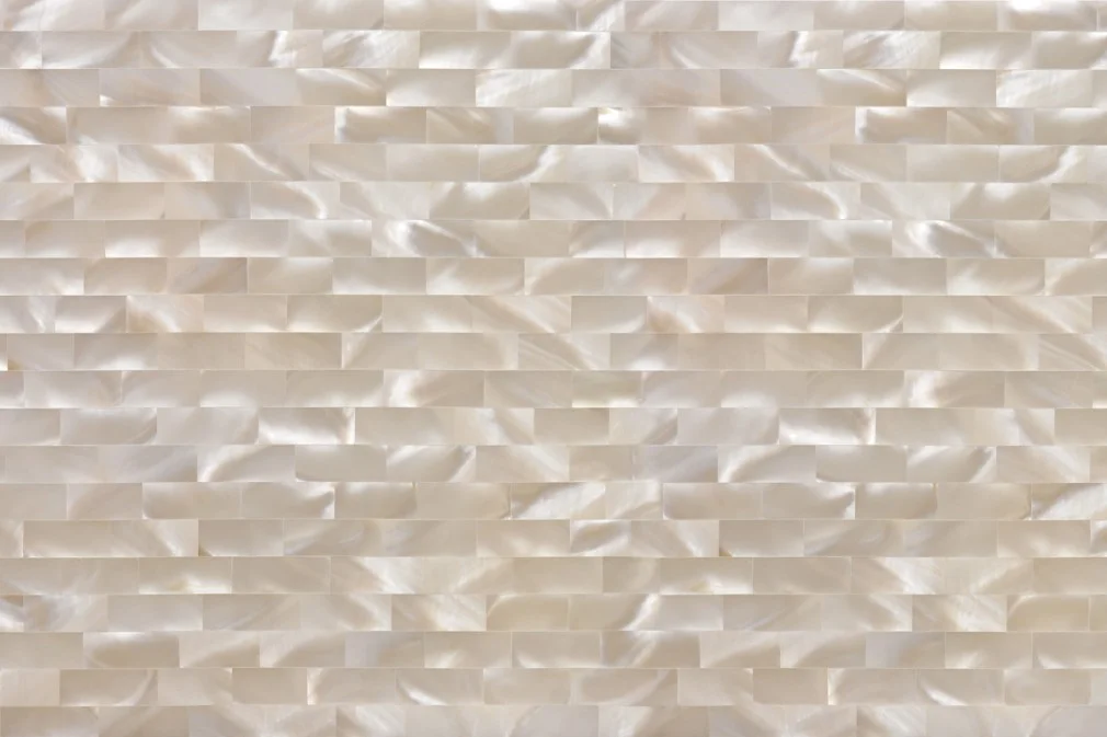 White Mother Of Pearl [Snow] Shellstone L