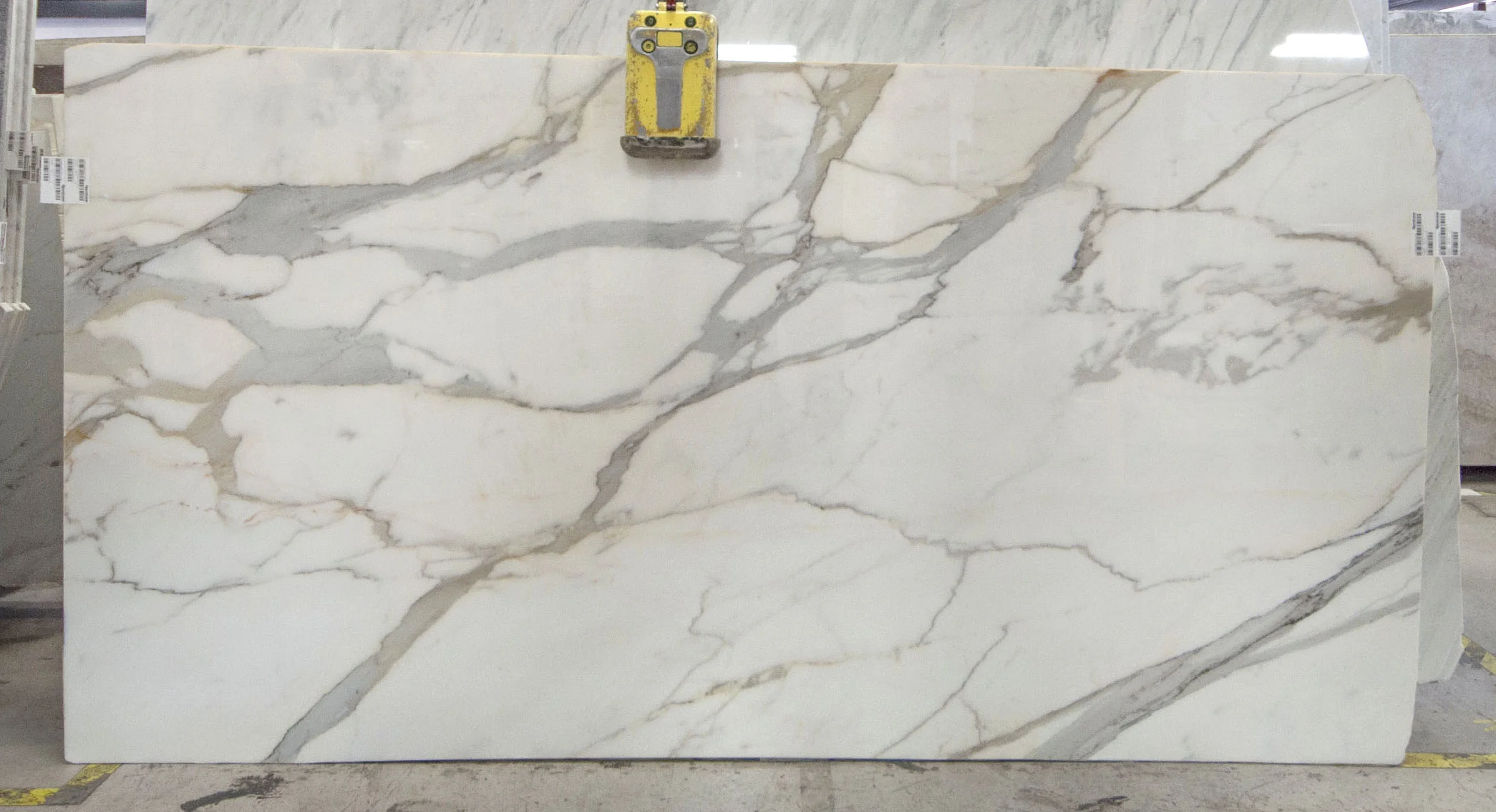Calacatta Gold Borghini italy