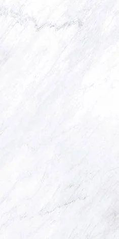 MARMOL TECH P WHITE F 24X48