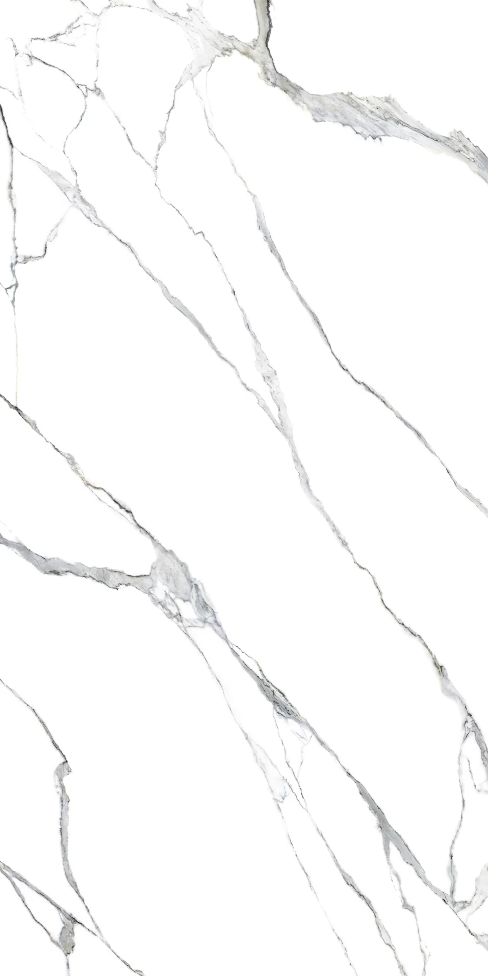 marmi statuario splendente 24x48 lafa