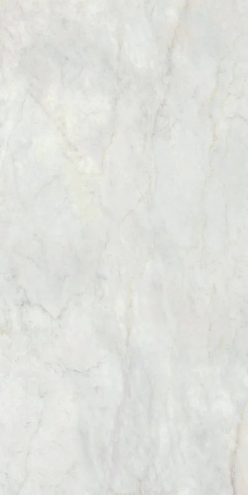 MARMI BIANCO BERNINI 24X48 LAFA