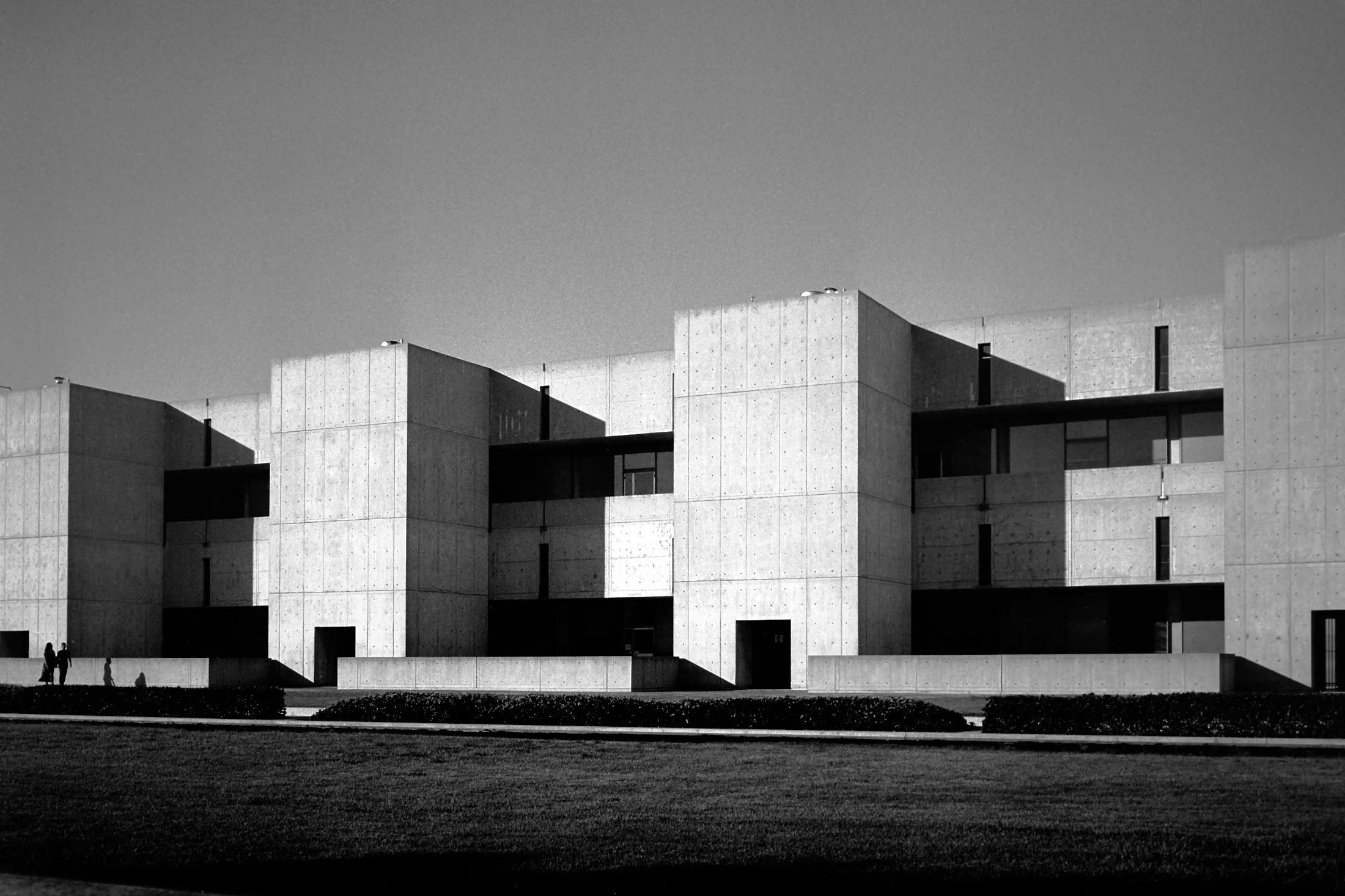 Walk/Salk