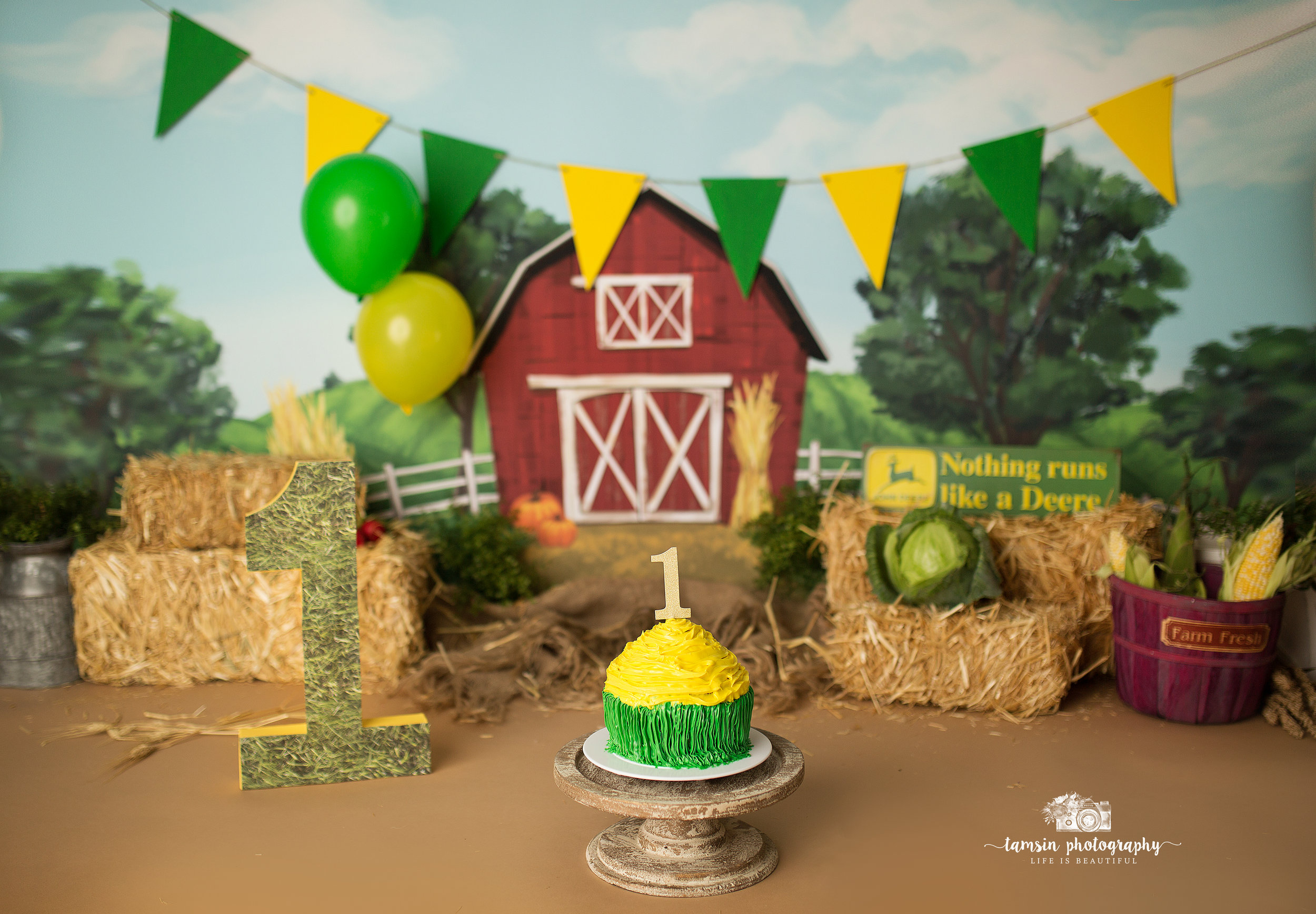 John Deere Tractor Boys Cake Smash Theme Tamsin Photography.jpg