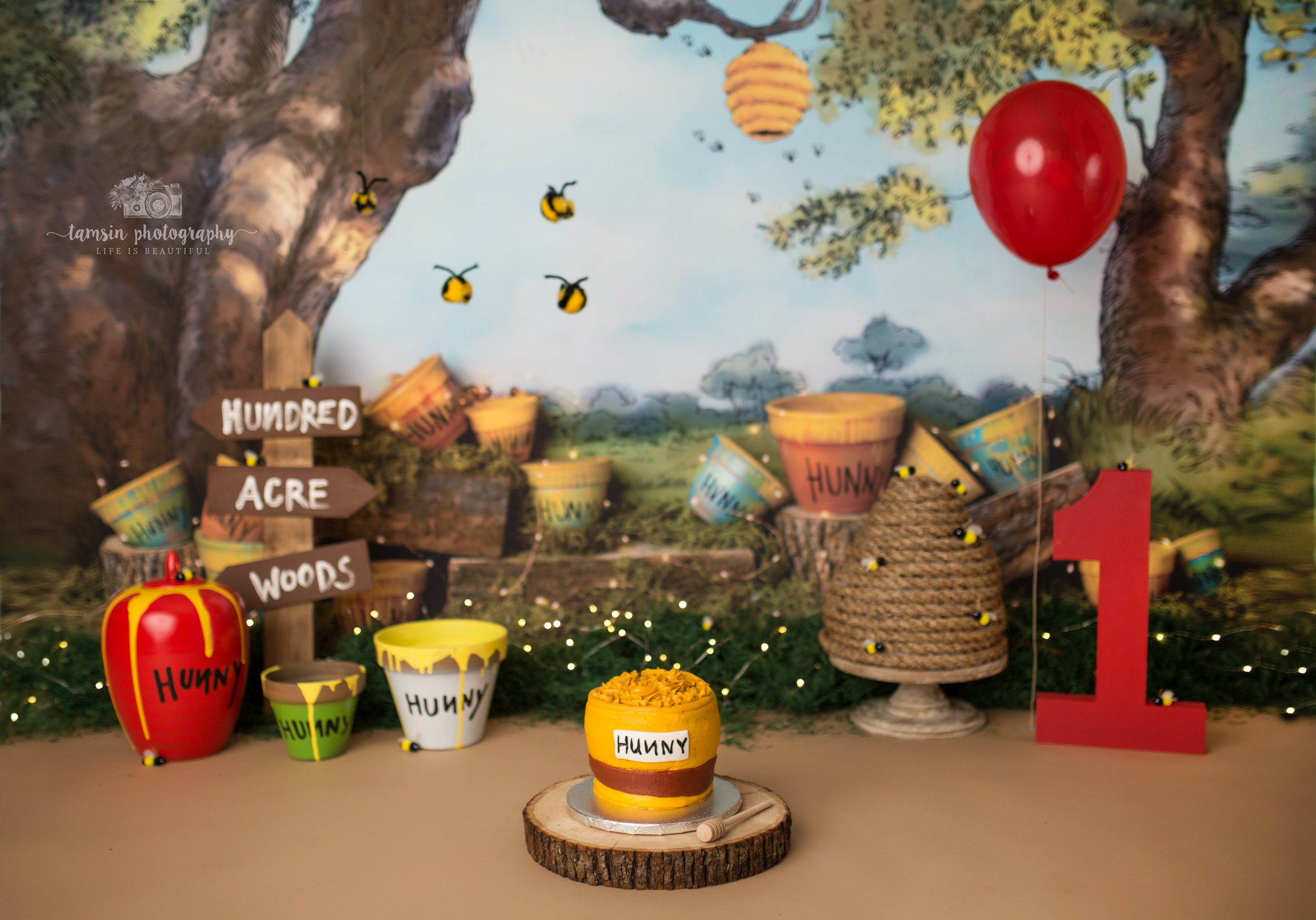 Winnie the Pooh Cake Smash Tamsin Photography Scene.jpg