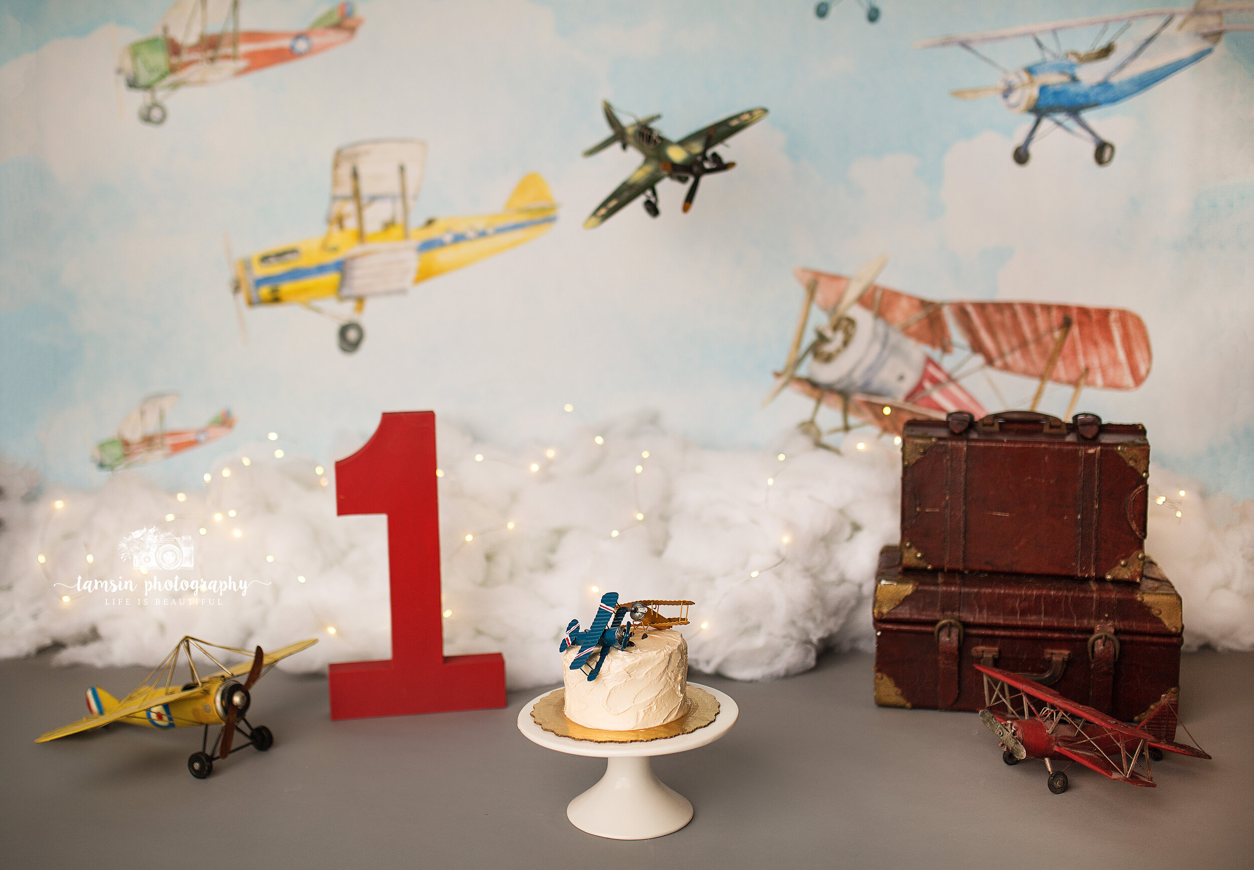 Airplane Plane Vintage Prop Cake Smash Tamsin Photography.jpg