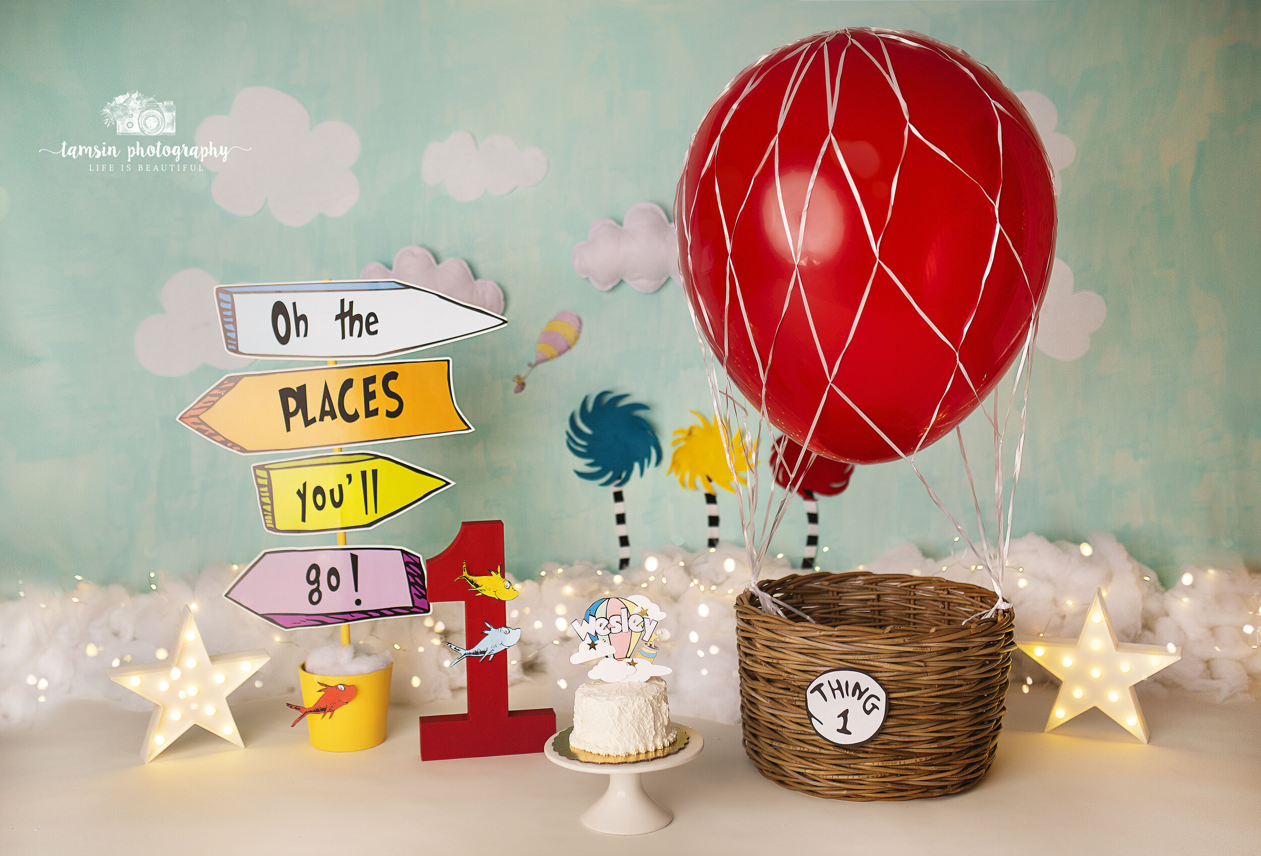 Cake Smash Dr. Seuss Oh The Places You'll Go Cat in the Hat Hot air balloon SITE.jpg