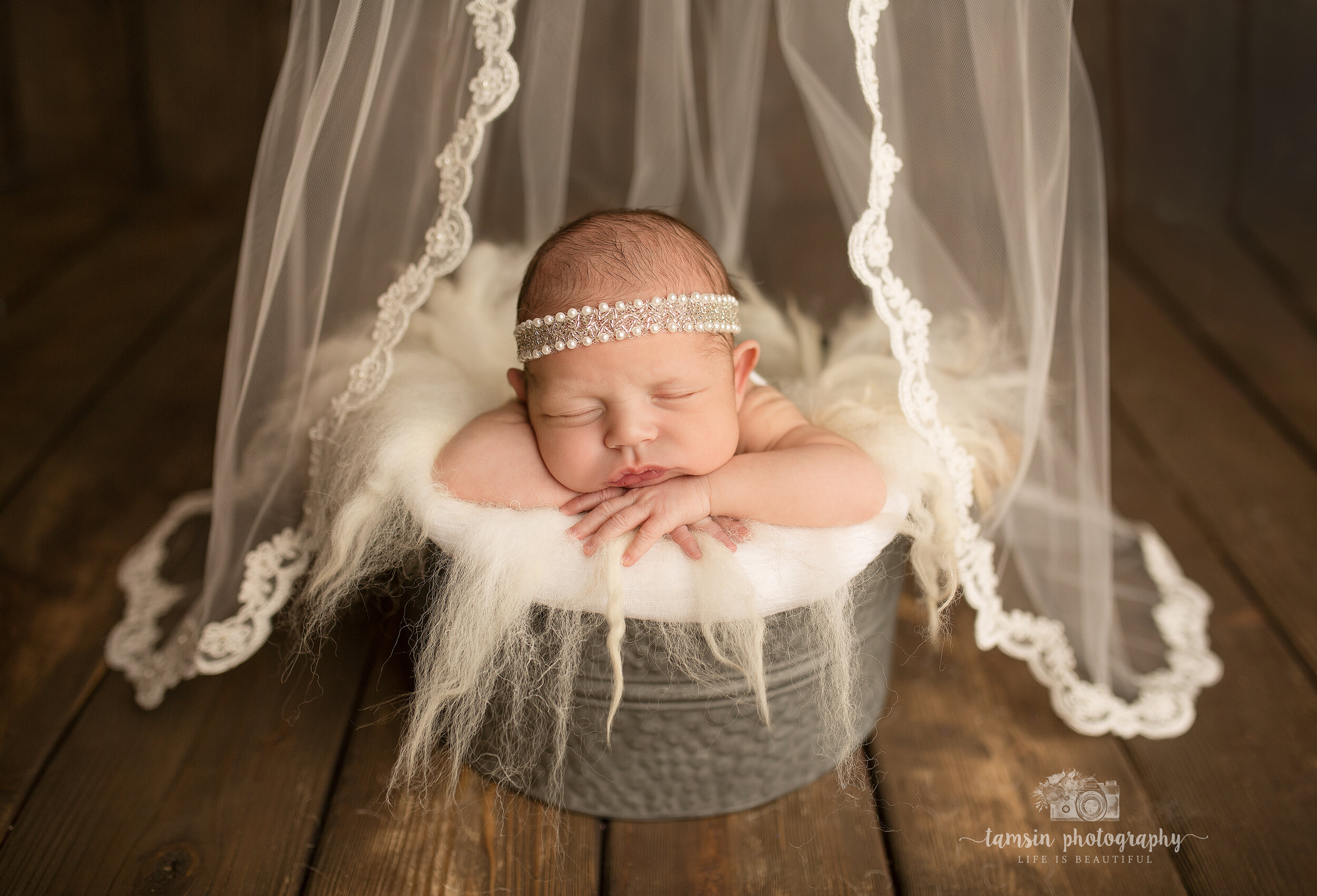 Newborn Posed Wedding Veil.jpg