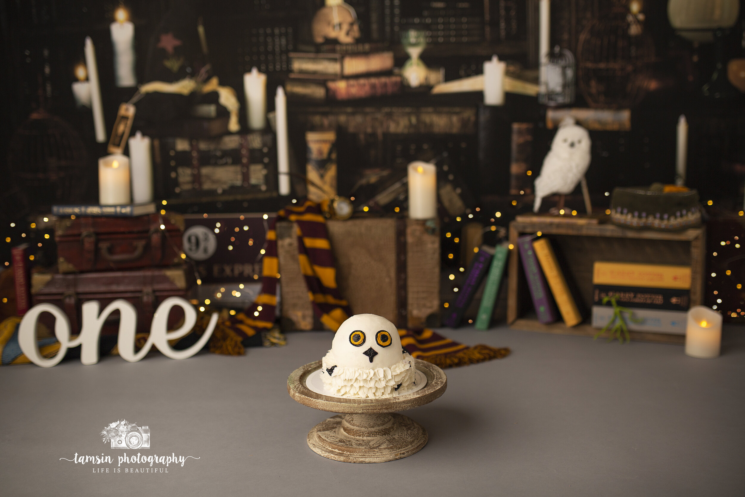 Cake Shot- Harry Potter Owl.jpg