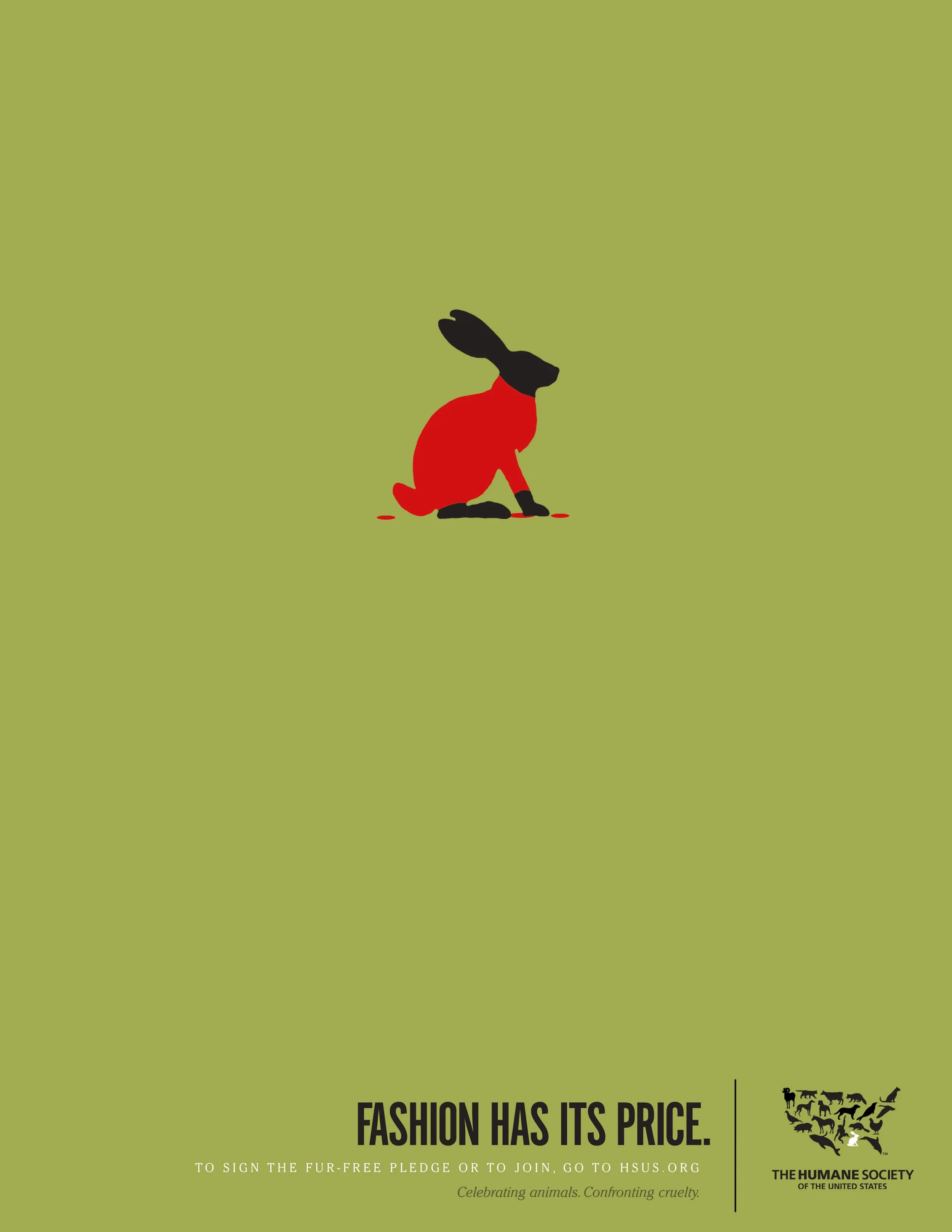 HSUSRabbit.jpg
