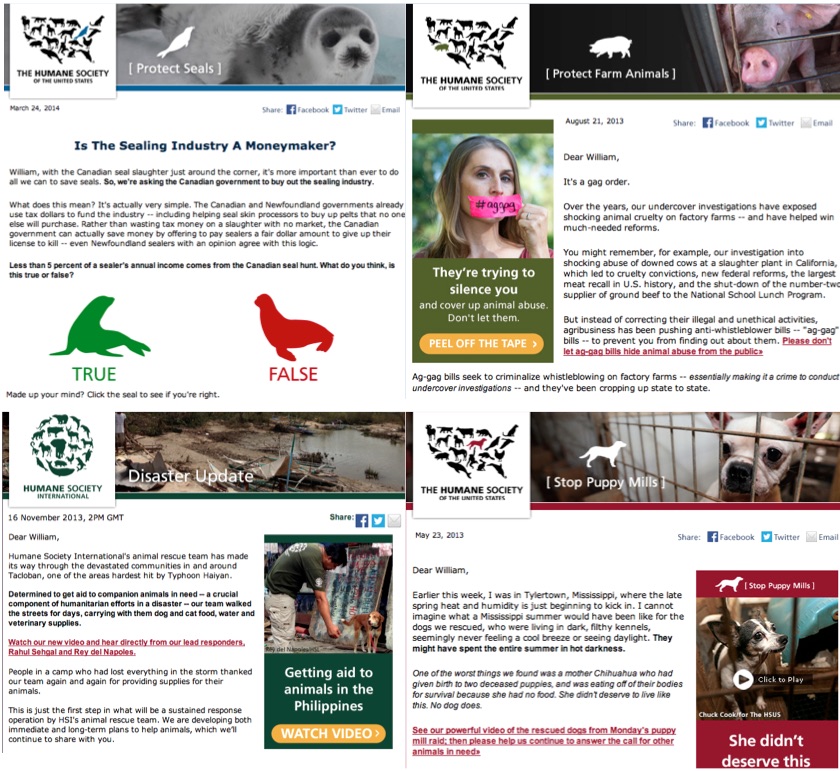  In email and social, the logo was designed to help differentiate between causes. Shortly after launching the logo system for the Humane Society of the United States, the International Humane Society asked us to create the same type of system for the