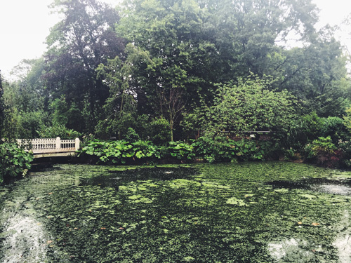 Amsterdam still holds my heart.