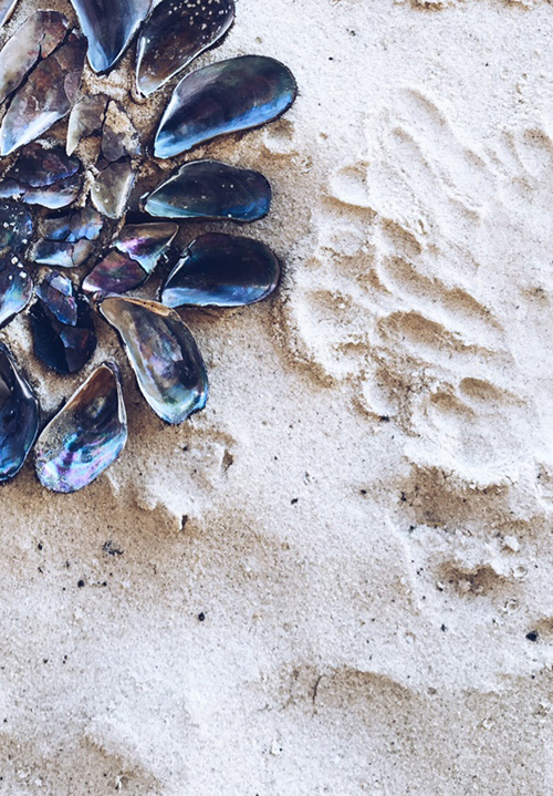 ...beach combing with my Love. 
