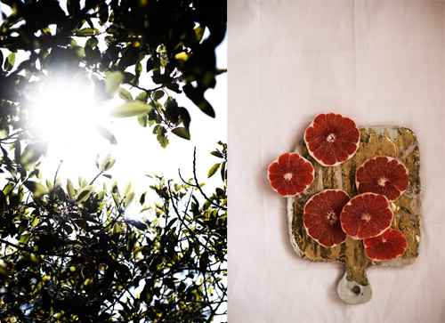 Vitamin D: delicious sun beams - soak them in! Vitamin C: grapefruit slices.