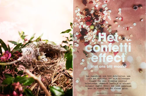 PiaJaneBijkerk_AestheticsOfJoy_birdsnest_confetti.jpg