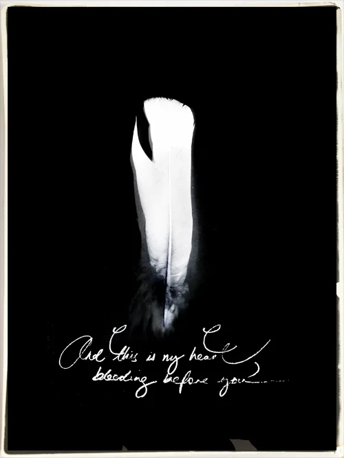 PIAJANEBIJKERK_feather_invertIMG_0355.jpg