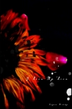 THUMBNAIL_IMAGE.jpeg