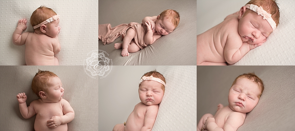 edmonton newborn photographer