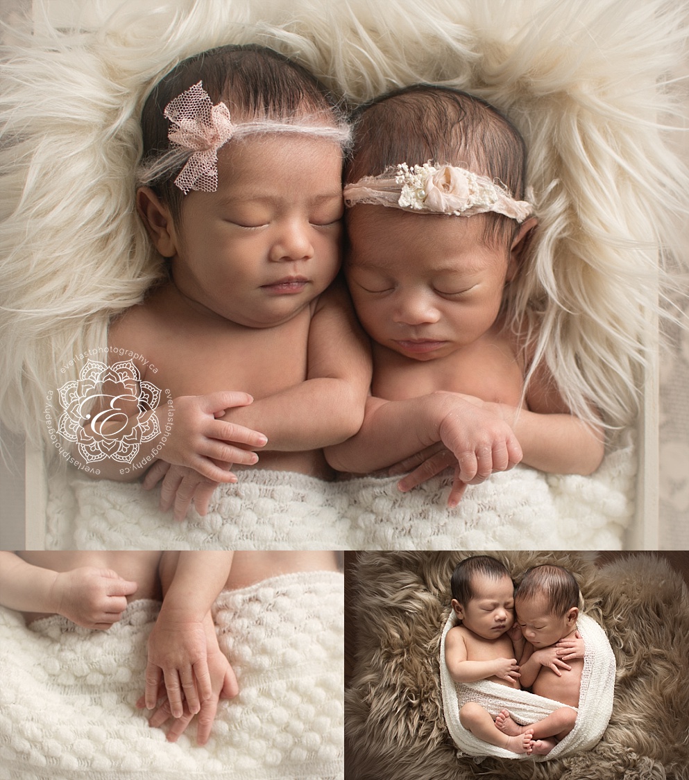 edmonton twin newborn photographers