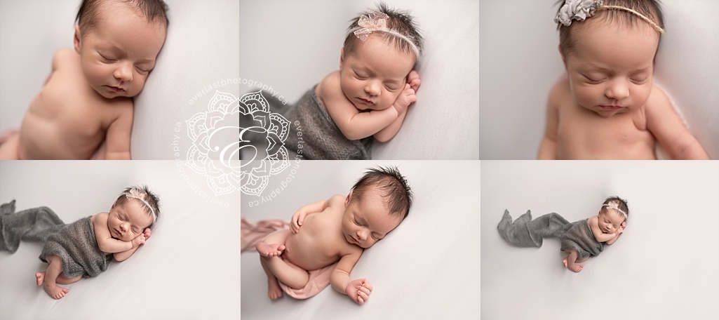 best edmonton newborn photographer