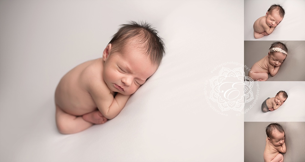 beautiful newborn images edmonton
